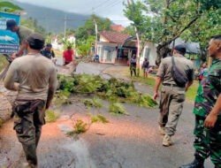 Cegah Pohon Tumbang, TNI-Polri dan TRC Watulimo Amankan Akses Jalan Wisata Pantai Simbaronce Trenggalek