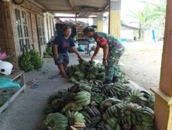 Babinsa Koramil Karangjati Beri Dukungan dalam Pengembangan Usaha Pisang di Wilayah