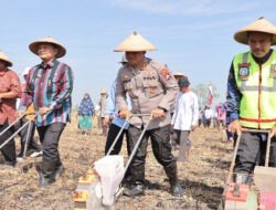 Dukung Ketahanan Pangan Nasional, Polres Lamongan Tanam Jagung di Lahan Baku Desa Kedali