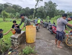 Di Pematang Sawah, TNI Hadir untuk Negeri: Kisah Babinsa Pelda Sunarman Jaga Ketahanan Pangan Trenggalek