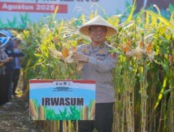 Panen Raya Jagung di Malang, Wujud Nyata Komitmen Polri dalam Ketahanan Pangan Nasional
