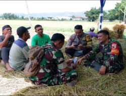 Wujud Kemanunggalan TNI dan Rakyat, Babinsa Lakukan Komsos Tak Mengenal Tempat