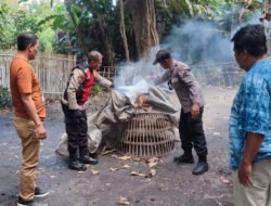 Tindaklanjuti Laporan Warga Polisi Bongkar Arena Sabung Ayam di Sidoarjo