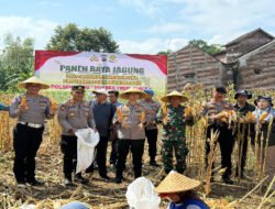 Kapolres Trenggalek Bersama Warga Panen Raya Jagung