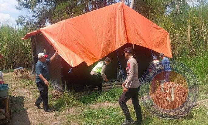 Polisi Bongkar Dua Lokasi Arena Judi Sabung Ayam di Malang