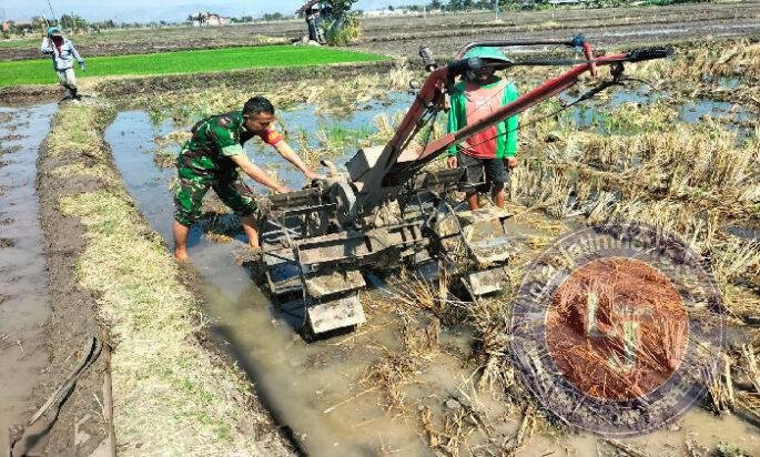 Babinsa Kodim Ponorogo Bantu Petani Olah Lahan