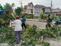 Antisipasi Pohon Tumbang, Anggota Koramil 01/Ngawi Bersama Dinas Lingkungan Hidup Bersihkan Pohon Liar