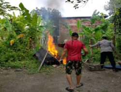 Respon Cepat Pengaduan Masyarakat Polisi Bongkar Arena Sabung Ayam di Sidoarjo