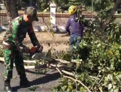 Ciptakan Lingkungan yang Bersih dan Nyaman, Babinsa Manahan Bersama DLH Laksanakan Pemangkasan Pohon