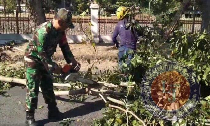 Ciptakan Lingkungan yang Bersih dan Nyaman, Babinsa Manahan Bersama DLH Laksanakan Pemangkasan Pohon