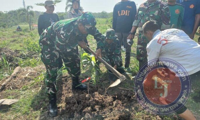 Hijaukan Lingkungan, Koramil Nogosari Tanam Pohon Buah di Potronayan