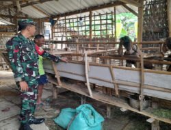 Babinsa Koramil Karangjati Berikan motivasi kepada Peternak Kambing di Wilayah Binaannya