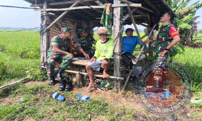 Babinsa Aktif Jalin Komunikasi dengan Petani di Gubuk Tengah Sawah