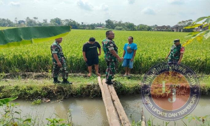 Babinsa Susuri Sawah, Pastikan Pengairan Lancar Untuk Dukung Ketahanan Pangan