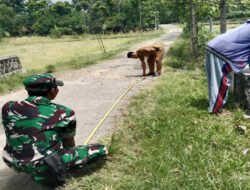 Babinsa Andong Dampingi Survei Jalan Baru, Dorong Peningkatan Infrastruktur Desa