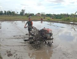 Babinsa Kodim Ponorogo Terjun ke Sawah Bantu Petani Olah Lahan