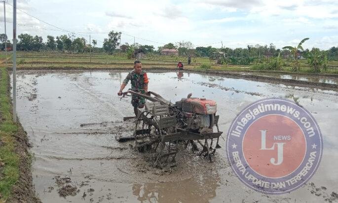 Babinsa Kodim Ponorogo Terjun ke Sawah Bantu Petani Olah Lahan