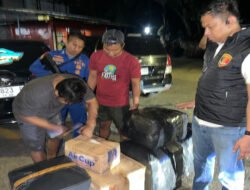 Polisi Airud Gagalkan Pengiriman 50 Ribu Benih Lobster Ilegal di Cianjur, Negara Berpotensi Rugi Rp7,5 Miliar