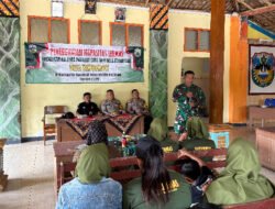 Peran Babinsa di Wilayah Teritorial Dalam Peningkatan Kapasitas Linmas