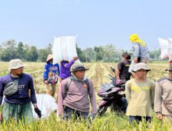 Direktur Idensos Densus 88 AT Lakukan Kunjungan Kerja ke PT Sang Hyang Seri Subang, Jalin Silaturahmi dengan Eks Napiter