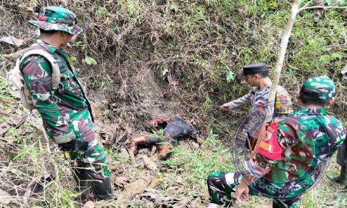 Gabungan TNI-Polri Temukan Mayat Diduga Pelaku Pembunuhan Berdarah di Pacitan