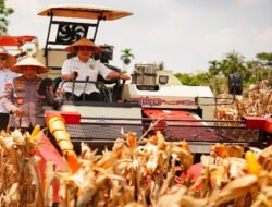 Panen Raya Kuartal III Polri Hasilkan 751 Ribu Ton Jagung, Bukti Nyata Dukung Swasembada Pangan