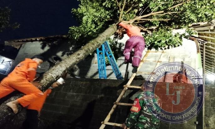 Hujan Deras Disertai Angin Kencang Robohkan Pohon di Boyolali, Babinsa dan BPBD Gerak Cepat Bantu Warga
