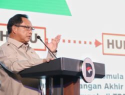 Mendagri Dorong Peran Aktif Pemda Sukseskan Program PSEL