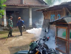 Babinsa Simo Dan Puskesmas Lakukan Fogging Cegah DBD di Desa Wates
