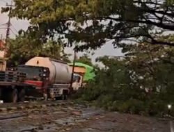 Pohon Tumbang dan Listrik Padam Akibat Cuaca Ekstrem, Jalur Lamongan-Babat Lumpuh Total