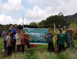 Pendampingan Penanaman hingga Panen Raya Bawang Merah di Kepulauan Bawean