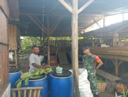 Babinsa Juwangi Dampingi Peternak Kambing, Dorong Peningkatan Kesejahteraan Warga