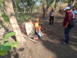 Gerak Cepat Polres Gresik Respon Aduan Warga, Arena Sabung Ayam di Menganti Digerebek, Amankan Barang Bukti