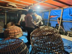 Polres Lamongan Bongkar Arena Judi Sabung Ayam di Dua Lokasi