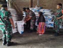 Babinsa Pastikan Ketersediaan Pupuk Cegah Kelangkaan