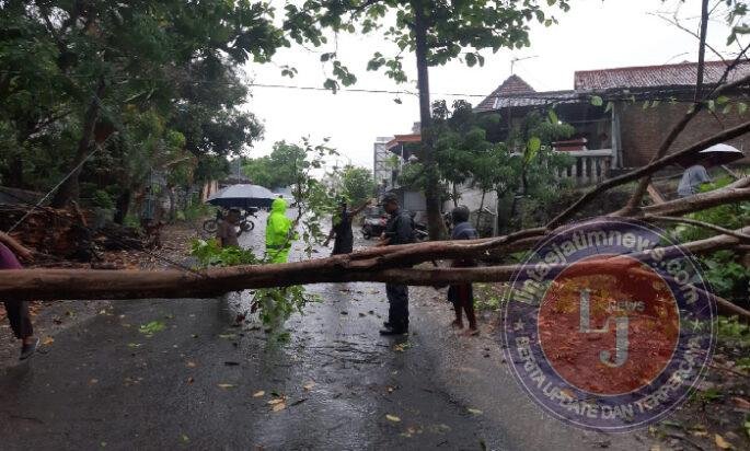 Pohon Tumbang Hadang Jalan, TNI, Polri dan Warga Lakukan Evakuasi
