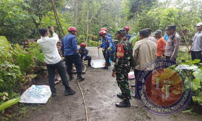 Aksi Cepat TNI–Polri dan Damkar Evakuasi Ular Piton 4 Meter di Rumah Warga Desa Puru