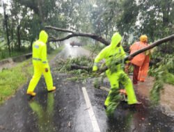 Respon Cepat Polisi dan BPBD Evakuasi Pohon Tumbang, Jalur Magetan-Bendo Kembali Lancar