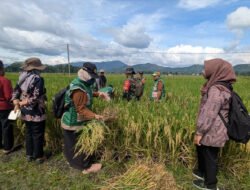 Sinergi TNI–Polri dan Petani Gandusari, Panen Padi Jadi Bukti Ketahanan Pangan dari Desa