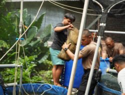 Pembelajaran Kolaboratif: Siswa Diktukba SPN Polda Jatim Tawarkan Solusi Digital untuk UMKM Koi Blitar