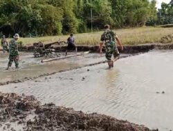 Babinsa Lakukan Pendampingan Pengolahan Lahan Sawah Untuk Persiapan Tanam