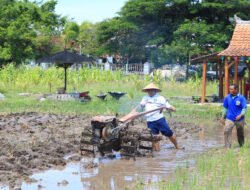 Beri Contoh Teladan, Kalapas Banyuwangi Terjun Langsung Dalam Pembajakan Sawah di Lahan SAE