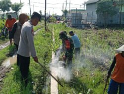 Babinsa Wonoasri Bersama Warga Gelar Kerja Bakti Kendalikan Hama Tikus