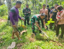 Seribu Pohon Gondang untuk Trenggalek, TNI dan Pemuda Bergerak Pulihkan Lingkungan