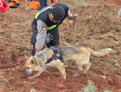 Polri Kerahkan Anjing Pelacak dalam Pencarian Korban Longsor Cilacap