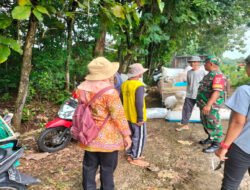 Babinsa dan PPL Nogosari Dampingi Petani Panen Padi