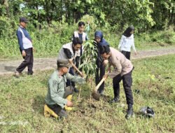 Perhutani bersama Unesa dan Sakawana Bakti Panceng Giat Perawatan Pohon Bibit dari P.T Aplus Pacifik