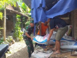 Pendampingan, Babinsa Cek Ketersediaan Pupuk Bagi Para Petani