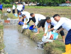 Program Ketahanan Pangan Berlanjut, Komoditas di Lahan SAE Pakis Lapas Banyuwangi Semakin Beragam