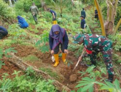 Aksi Hijau TNI–Pemda Trenggalek di Bukit Jatuh: Menanam Harapan Cegah Longsor